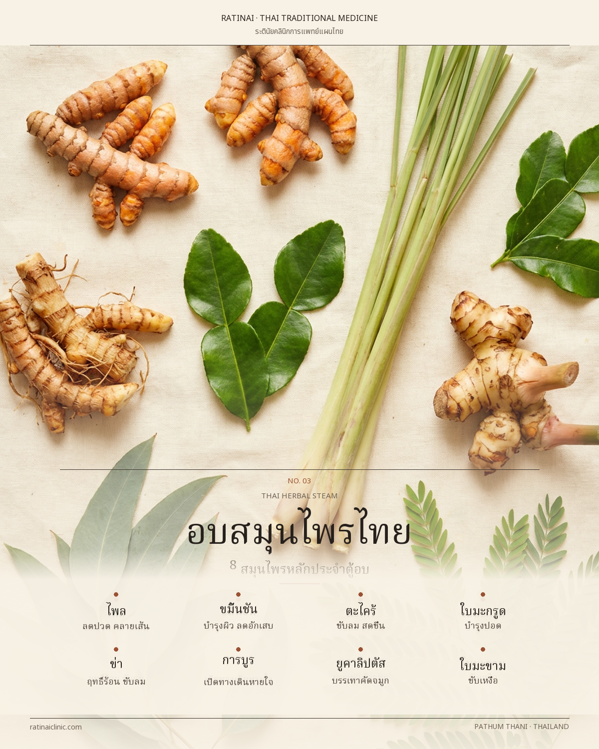 อินโฟกราฟิกแสดงสมุนไพร 8 ชนิดในตู้อบสมุนไพร พร้อมสรรพคุณและฤทธิ์ร้อน-เย็น