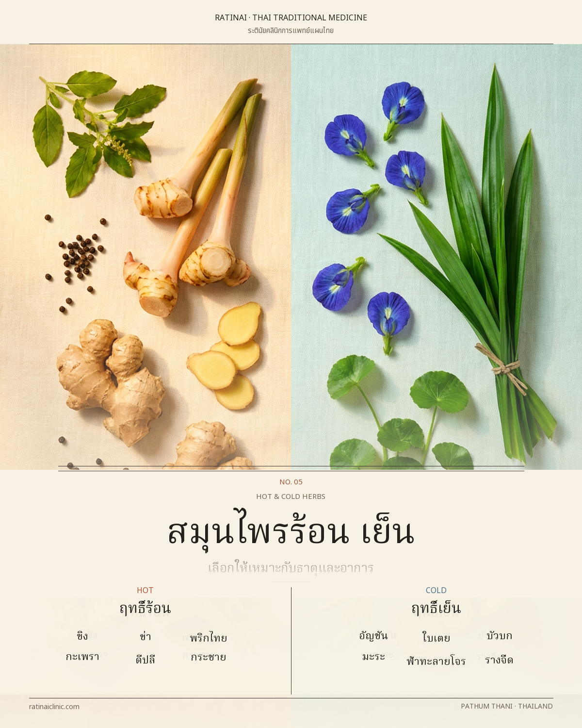 ตารางเปรียบเทียบสมุนไพรฤทธิ์ร้อนและฤทธิ์เย็น 12 ชนิด